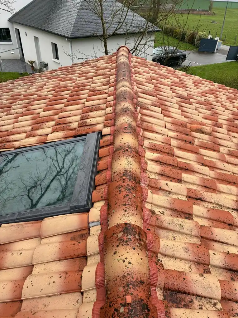 Toiture ancienne chargée de mousse autour d'une fenêtre de toit